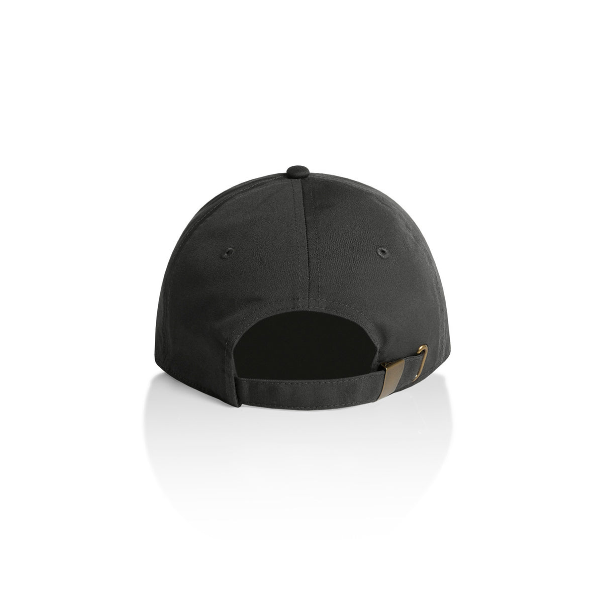 Access Cap | 1130 - COAL