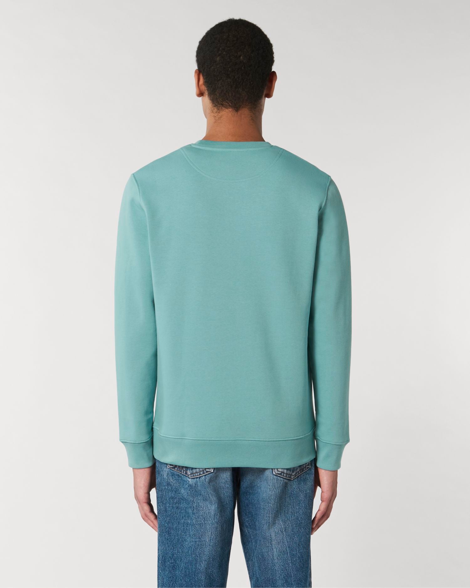 Teal Monstera - C060