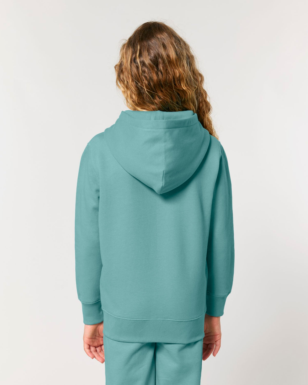 Teal Monstera - C060