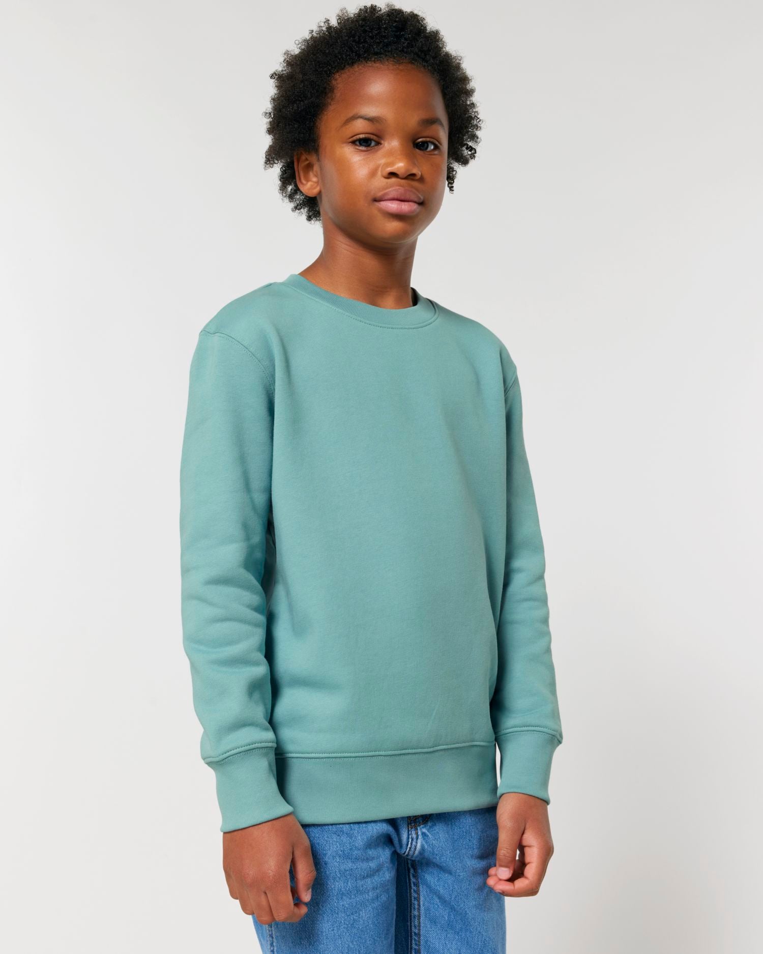 Teal Monstera - C060