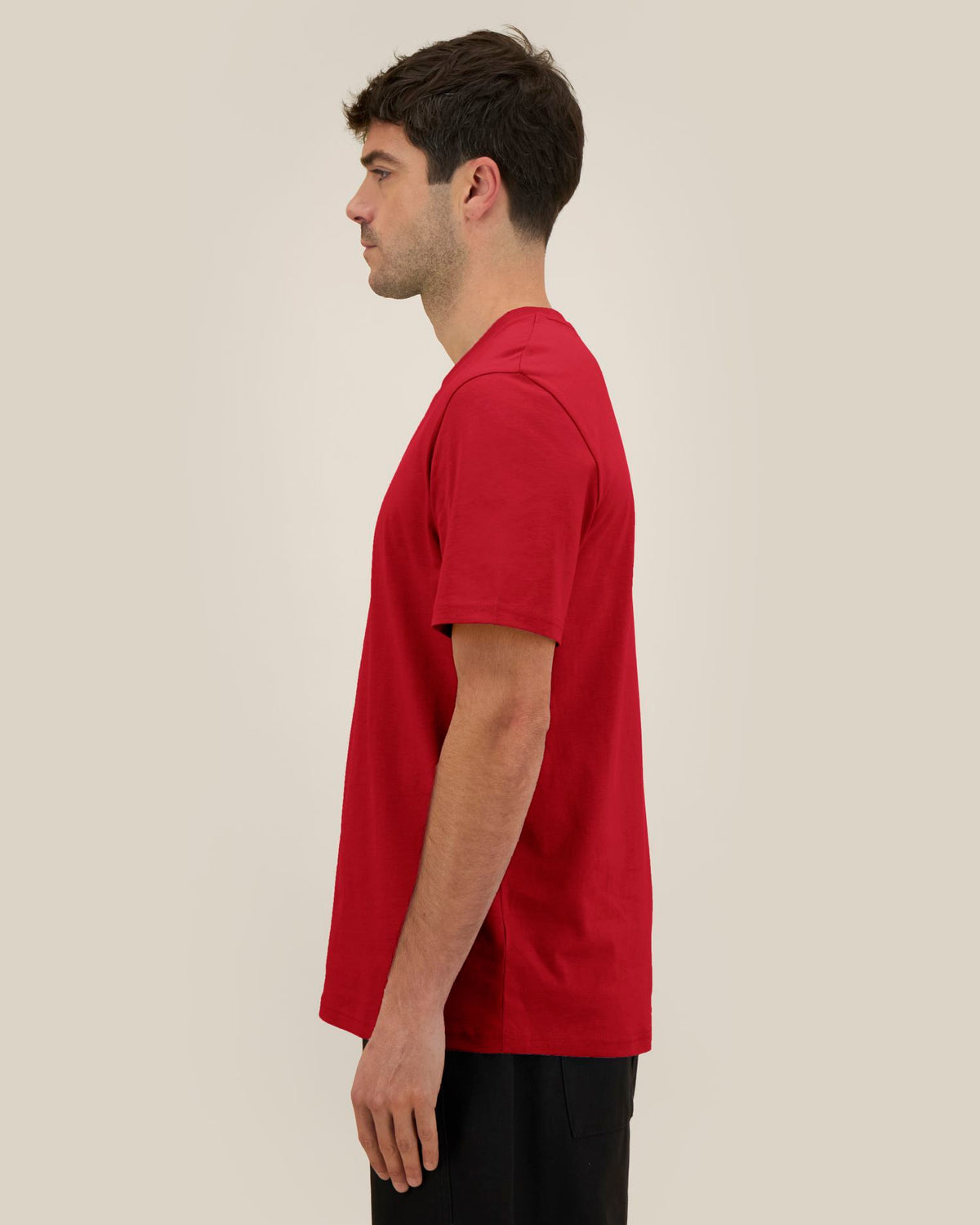 Passionate Red - C172